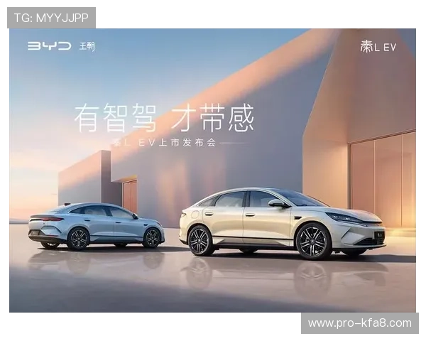 凯发K8天生赢家旗舰震撼上市,创新技术引领行业变革开启智能娱乐新篇章 凯发K8天生赢家旗舰震撼上市,创新技术引领行业变革开启智能娱乐新篇章