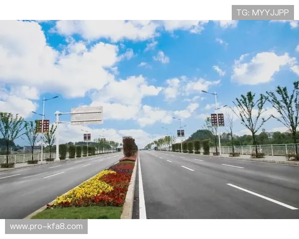 选择凯发电游官网下载前需要注意的事项和提示