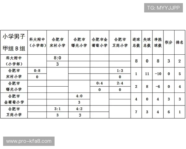 世界杯巴西海地小组排名实时更新带你了解各队积分榜及晋级概率分析